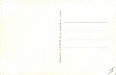 CPM Cinema Meg Lemonnier