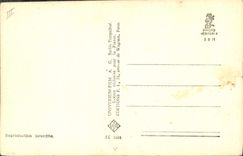 CPM Cinema Abbe Lane 