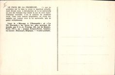 VINTAGE POSTCARD country of the promise