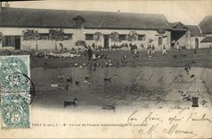 VINTAGE POSTCARD Coutray Children? Firm of Fouace Dependence of the Colony