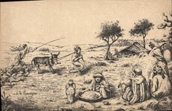 VINTAGE POSTCARD Fantasy North Africa Illustrator Ass Mule Ploughing