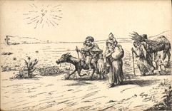 CPA Fantaisie Illustrateur Afrique du Nord Ane Mule Chameau