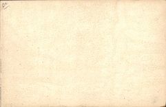 CPA Fantaisie Illustrateur Afrique du Nord Ane Mule Chameau