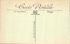 POSTAL Pau de la VENDIMIA el castillo visto del parque