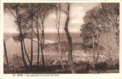 CPA Nice Vue Generale a Travers les Pins