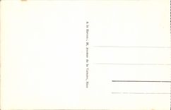 Opinión de la POSTAL de la VENDIMIA Niza a través de los pinos