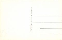 CPA Nice La Promenade des Anglais et le Palais de la Jetee