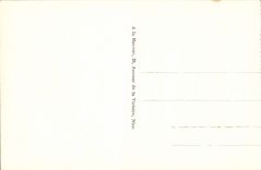 CPA Nice Les Jardins du Roi Albert 1er et le Palais de la Jetee