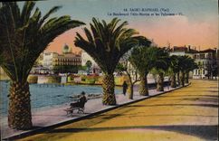 CPA Saint Raphael Boulevard Felix Martin et les palmiers 