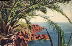 CPA Les Rochers du Trayas