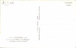 CPA Saint Raphael Plage et L'Hotel les Algues Volley Ball Volley-Ball