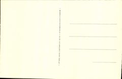 VINTAGE POSTCARD the Caves De Betharram Alive Stalactites