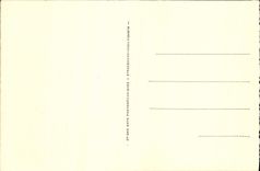 VINTAGE POSTCARD the Caves De Betharram the minaret