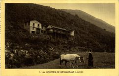 VINTAGE POSTCARD the Caves De Betharram the entry Coach Oxen