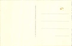 VINTAGE POSTCARD the Caves De Betharram the entry Coach Oxen