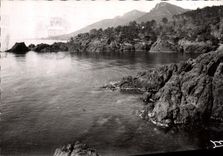 VINTAGE POSTCARD Trayas Points Notre Dame