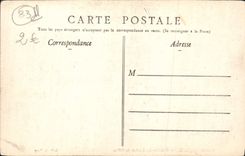 CPA Saint Raphael Palmiers des Jardins de villas