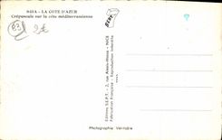 CPM La Cote D'Azur Crepuscule Sur La Cote Mediterraneenne