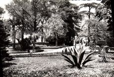 CPM Toulon Jardin De La Ville