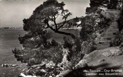 CPM Toulon Cap Brun Sentier Des Douaniers