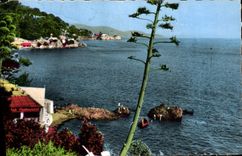 CPM Toulon Vue Sur Le Cap Brun Restaurant Bar