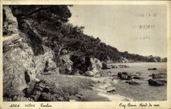 VINTAGE POSTCARD Toulon Cape Brown Seaside