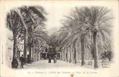 CPA Toulon L'Allee Des Palmiers Place De La Liberte