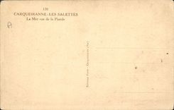 CPA Carqueiranne Les Salettes La Mer Vue De La Pinede