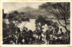 VINTAGE POSTCARD the Gold Cornice towards Trayas