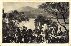 CPA La Corniche d'or vers le Trayas 