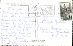 CPM Grasse So Vegetation Exotique