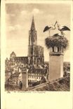 Cigüeñas de Estrasburgo de la POSTAL de la VENDIMIA