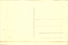 Cigüeñas de Estrasburgo de la POSTAL de la VENDIMIA