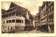 POSTAL Estrasburgo de la VENDIMIA el baño con las plantas