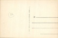 CPA Nice Le Monument De Rauba Capeu Et Les Grands Hotels