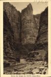 VINTAGE POSTCARD Entered of the Falls of Cians