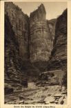 VINTAGE POSTCARD Entered of the High Falls of Cians