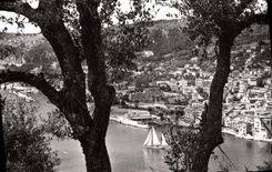 CPM Villefranche Sur Mer Vue Prise entre les Oliviers