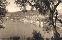 VINTAGE POSTCARD Villefranche seen through the olive-trees