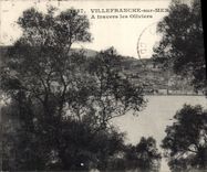 CPA Villefranche Sur Mer A Travers les Oliviers