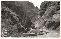 VINTAGE POSTCARD higher Falls of Cians