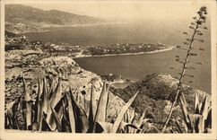 CPA Le Cap Martin vu du rond point de la Turbie 