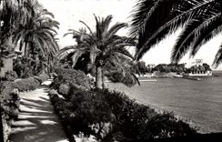 CPM Beaulieu Sur Mer Jardin Exotique Au Fond la Villa Kerylos 