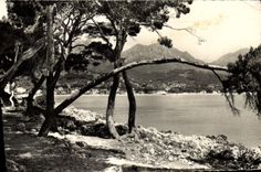 CPM Pinede et rochers du Cap Martin