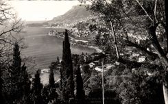 CPM Monaco La Principaute vue de Roquebrune
