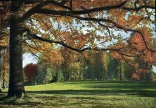 VINTAGE POSTCARD Drill