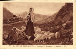 Vida de la POSTAL de la VENDIMIA de Bernadette del perro de ovejas Lourdes