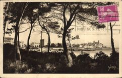 VINTAGE POSTCARD Antibes the City Seen through the pines of the Cornice