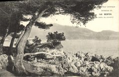 CPA Menton Vue entre les oliviers