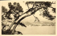 CPA Menton Vue Prise du Cap Martin